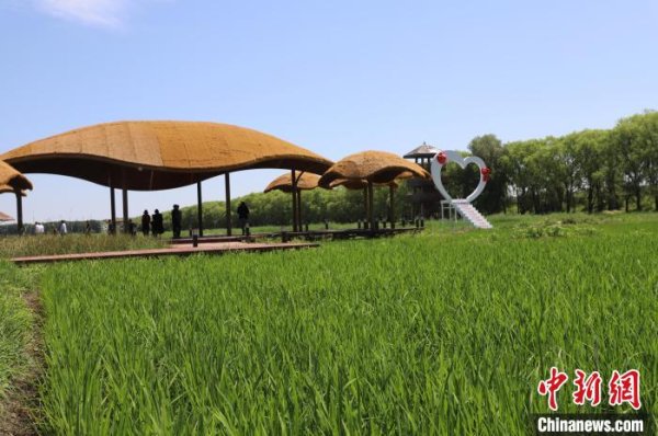 公富网配资 （乡村行·看振兴）文化IP解锁农田里的共富密码