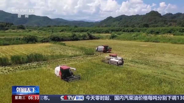 牛达人配资 热热热! 高温橙色预警继续 多地上线避暑妙招送清凉