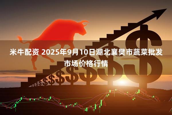 米牛配资 2025年9月10日湖北襄樊市蔬菜批发市场价格行情