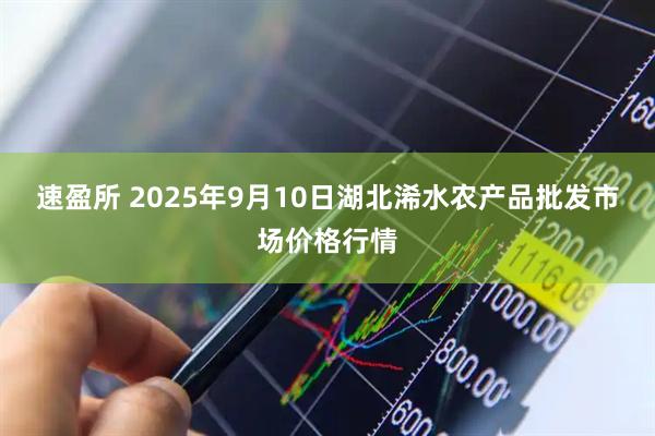 速盈所 2025年9月10日湖北浠水农产品批发市场价格行情